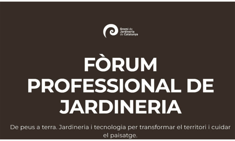 forum_29012026110707
