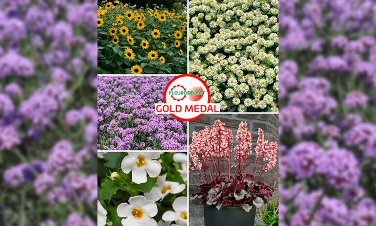guiaverde-plantas-obtentores_23012026112202