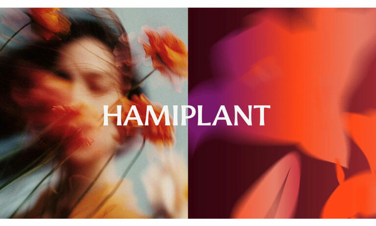hamiplant_19012026134044
