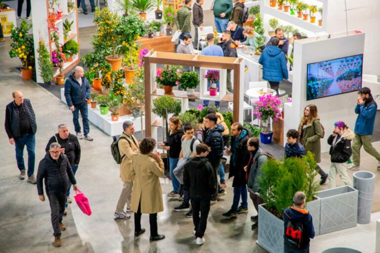 myplant25-17-lr_16022026140724