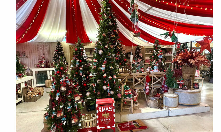 navidad-en-jardinarium_11122025102002