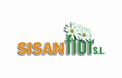 Sisanflor
