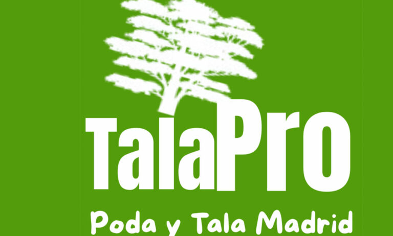 talapro_02022026085016