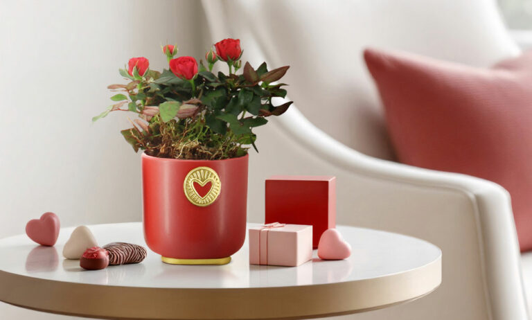 valentinesday-plants_05022026115230