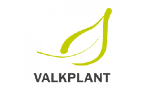 Valkplant