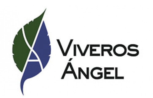 Viveros Ángel