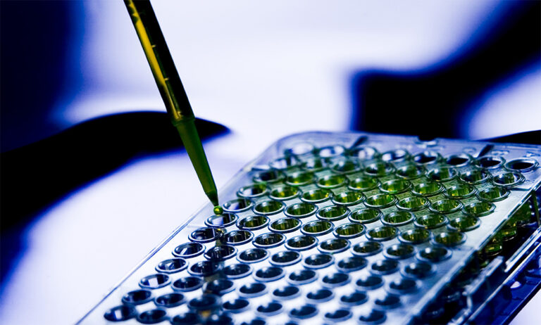 01022019102102_imida-fitogeneticos