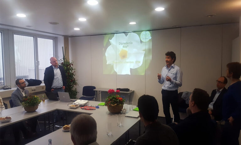 01022019111905_syngenta-flower-grande