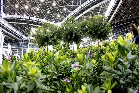 Iberflora 2016 (Photo: Alberto Sáiz)
