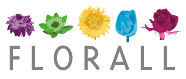 01072011132159_florall