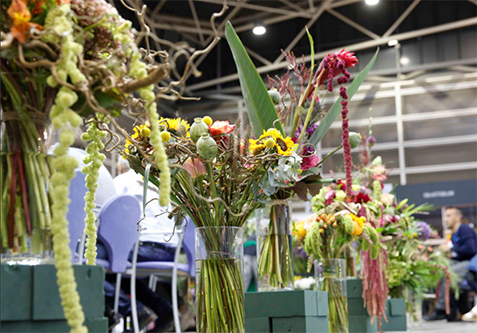 02082018094941_copa_iberflora