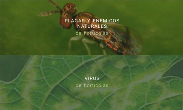 03012019115343_app-ifapa-guia