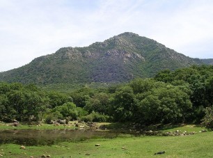 03042012095457_bosquenaturaleza2s_81_rotador