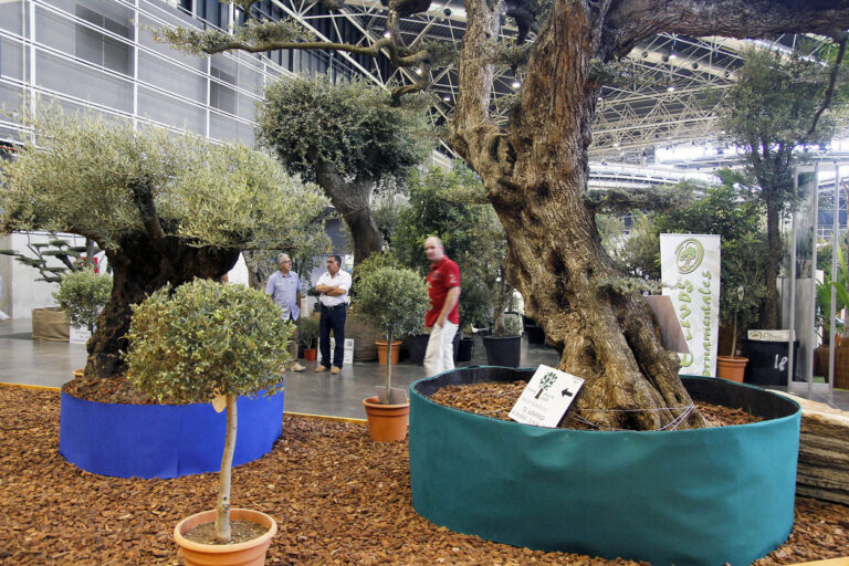 03102013105446_iberflora