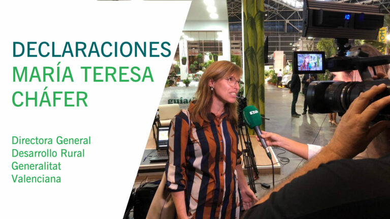 03102018132357_miniatura_directora_general_chafer-01