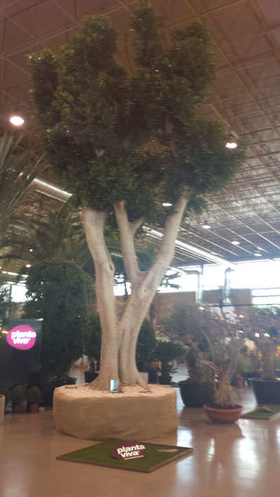 04022015120657_elche