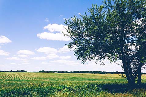 04052018111811_pexels-photo-154148