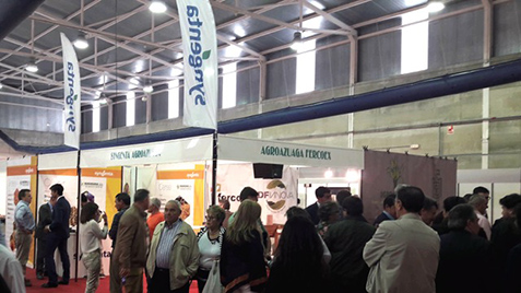 04062018112308_syngenta_en_fecsur_2018