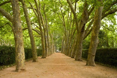 04092012100451_jardin-publico