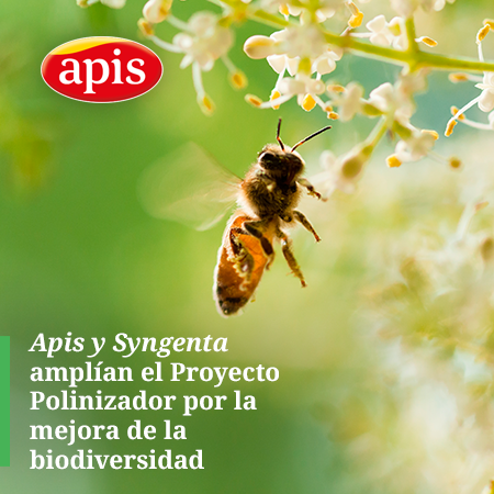 04122017092928_imagen_polinizador