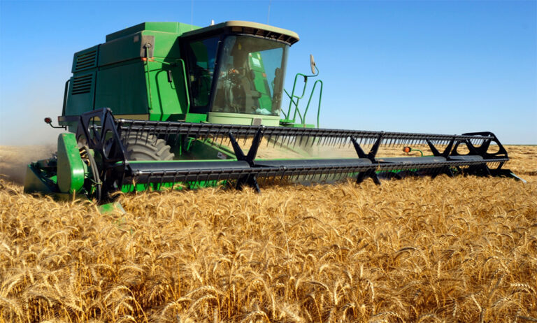 05022019101153_agricultura