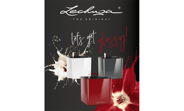 05032019081037_lechuza_glossy