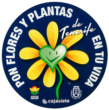 05052017120508_flores_y_plantas_de_canarias