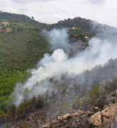 05072012094841_incendio