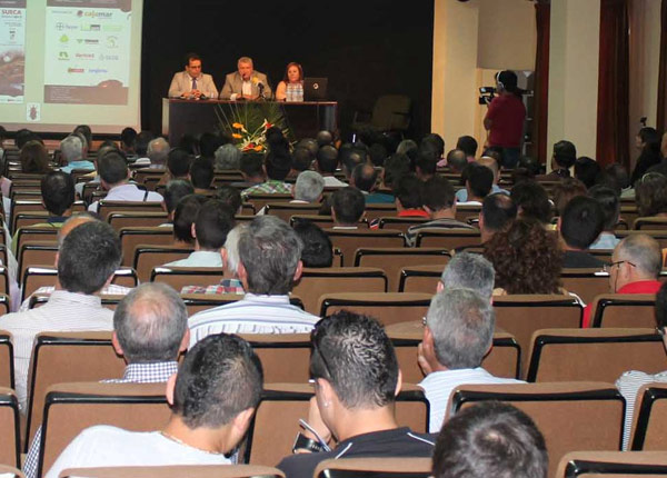 06062012100452_picudo