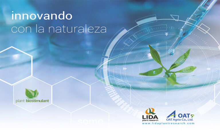 07012019100040_lida-plant
