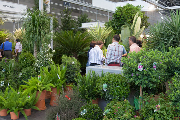 07062013133805_iberflora-2012
