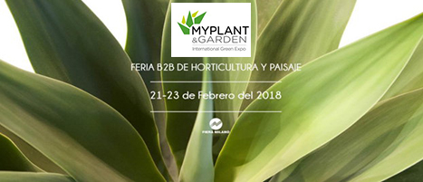 08012018111514_myplant_milan