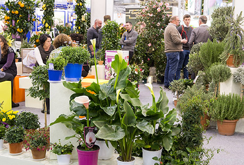 www.messe-essen