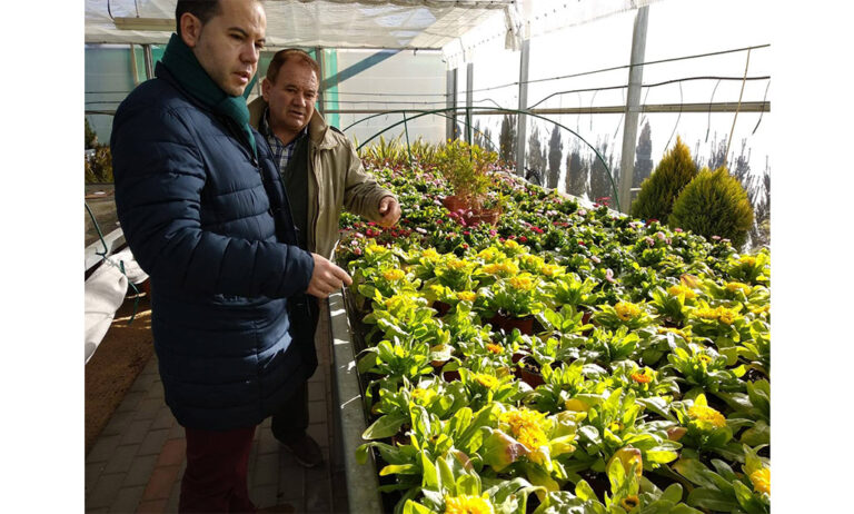 08022019111718_ferca
