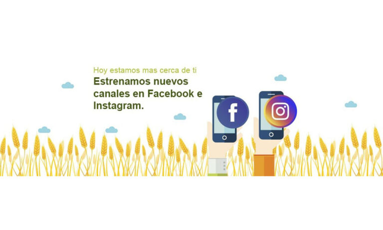 08032019101041_syngenta