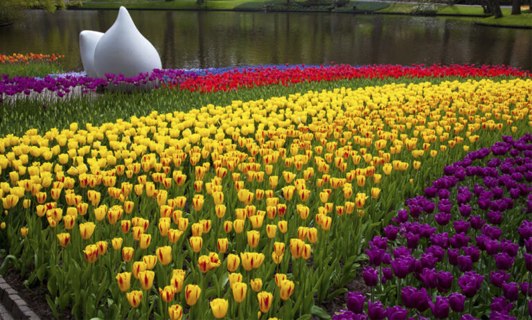 08032019121603_keukenhof