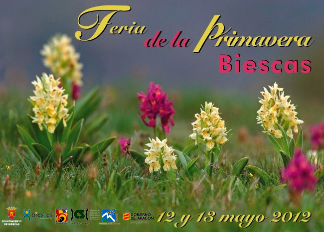 08052012115309_feria-de-la-primavera_2012