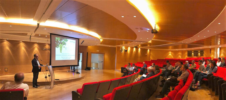 08062018105632_jornada
