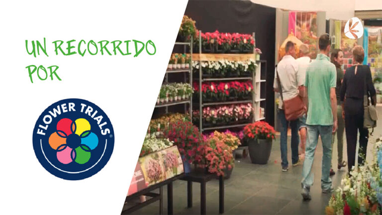 08062018133552_flower_trials
