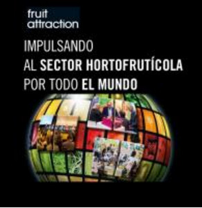 09052016094945_fruit