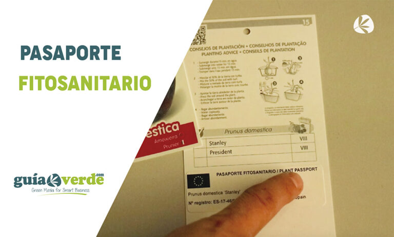 10012019094114_miniatura-web-pasaporte