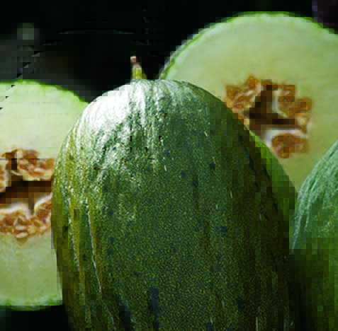 10052018130411_melon