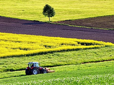 10072017124546_agriculture