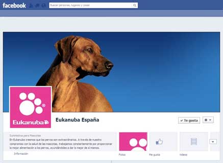 10102012103219_eukanuba