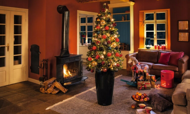1030x620maceflornavidad_10112021100956