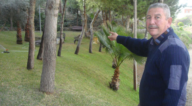 11012013123347_jardin_mangas_verdes