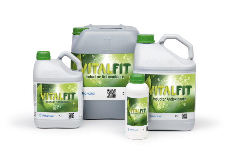 11022019093728_vitalfit