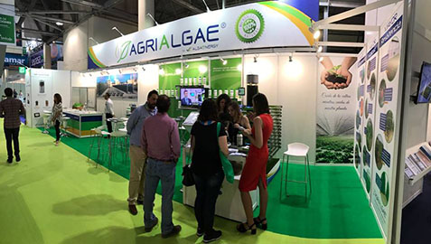 11052017083201_alga