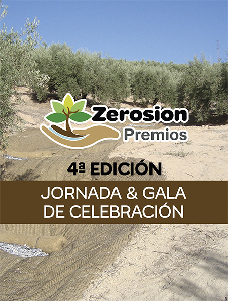 TRIPTICO 47X21 v