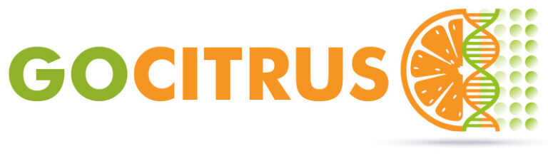 11062018190110_gocitrus